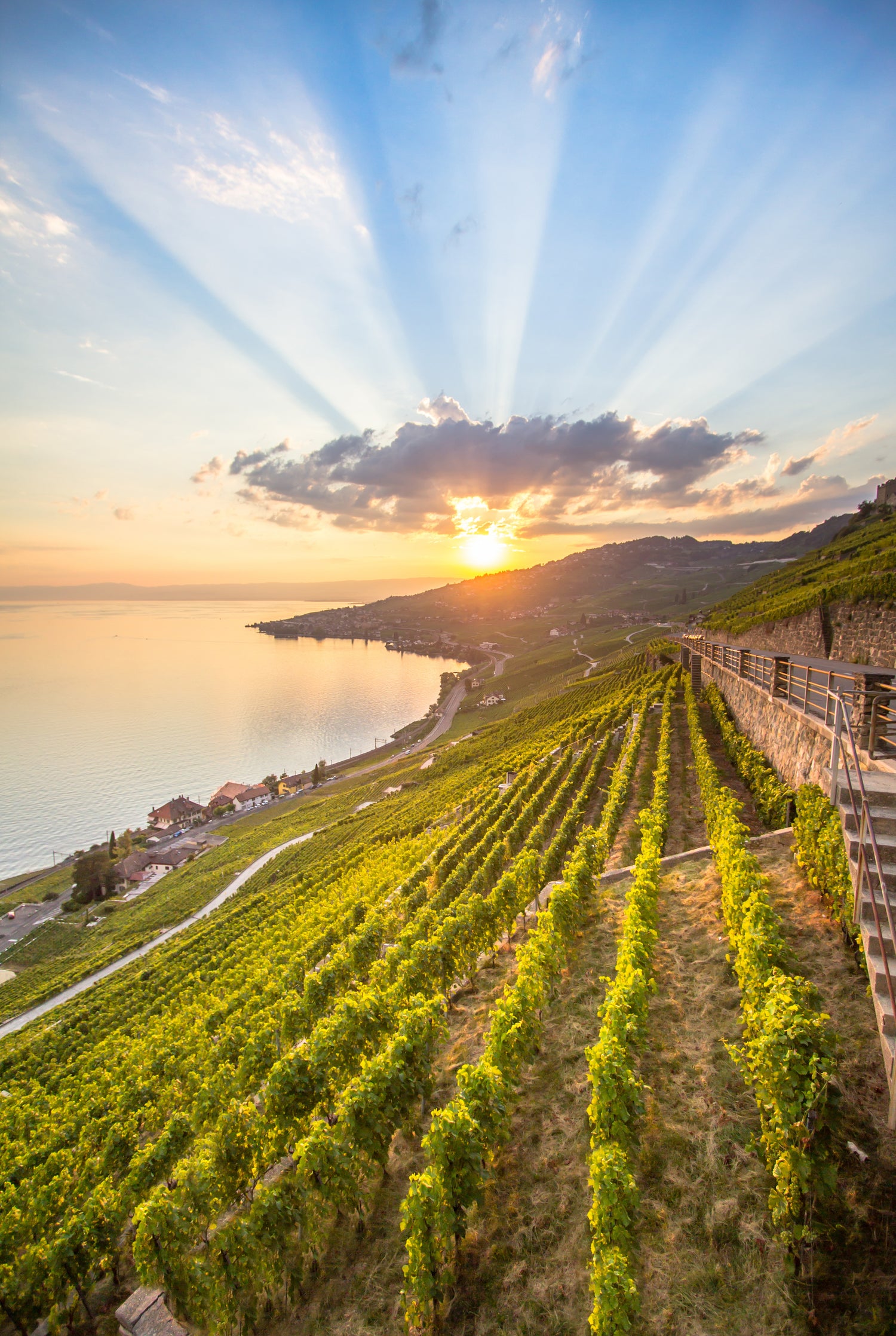 Coucher de soleil sur le Lavaux et le lac Léman